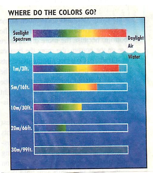OPINION] What color would you use for low visibility water? : r